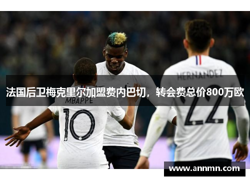 法国后卫梅克里尔加盟费内巴切，转会费总价800万欧